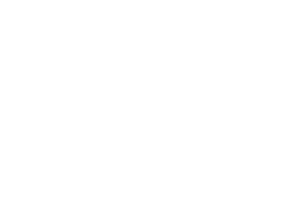 SamalinWealth_footer_logo