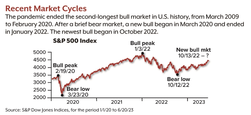 Is This Bull Timid or Ready to Charge